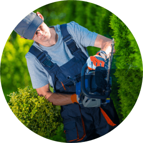 NRE Cleaning services Brisbane | Gardening