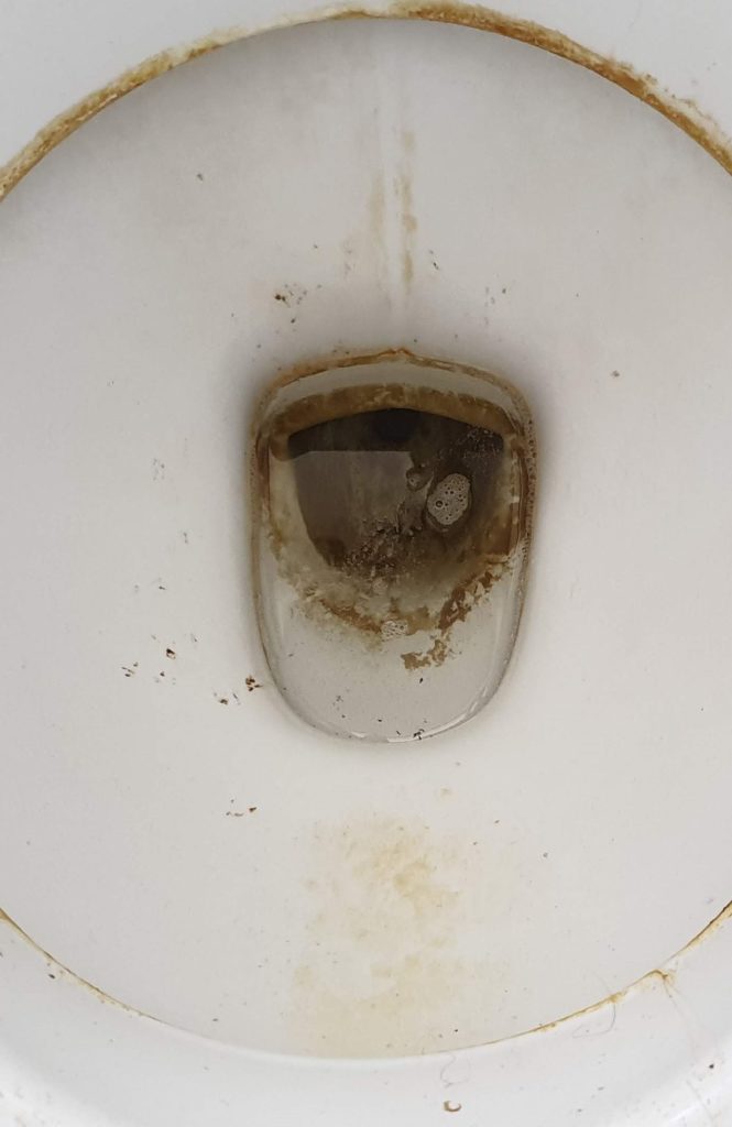 dirty toilet bowl funny office cleaning stories