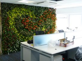 NRE Cleaning services Brisbane | plants and the happy office environment