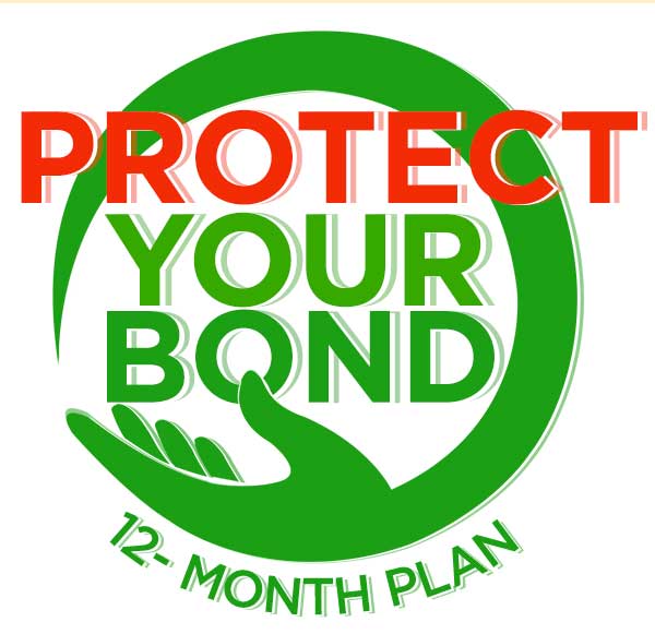 Protect Your Bond 12-month plan