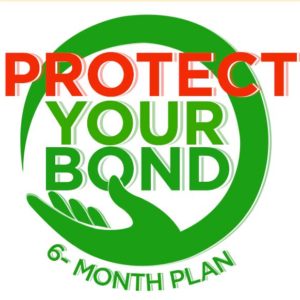 Protect Your Bond 6 month payment plan