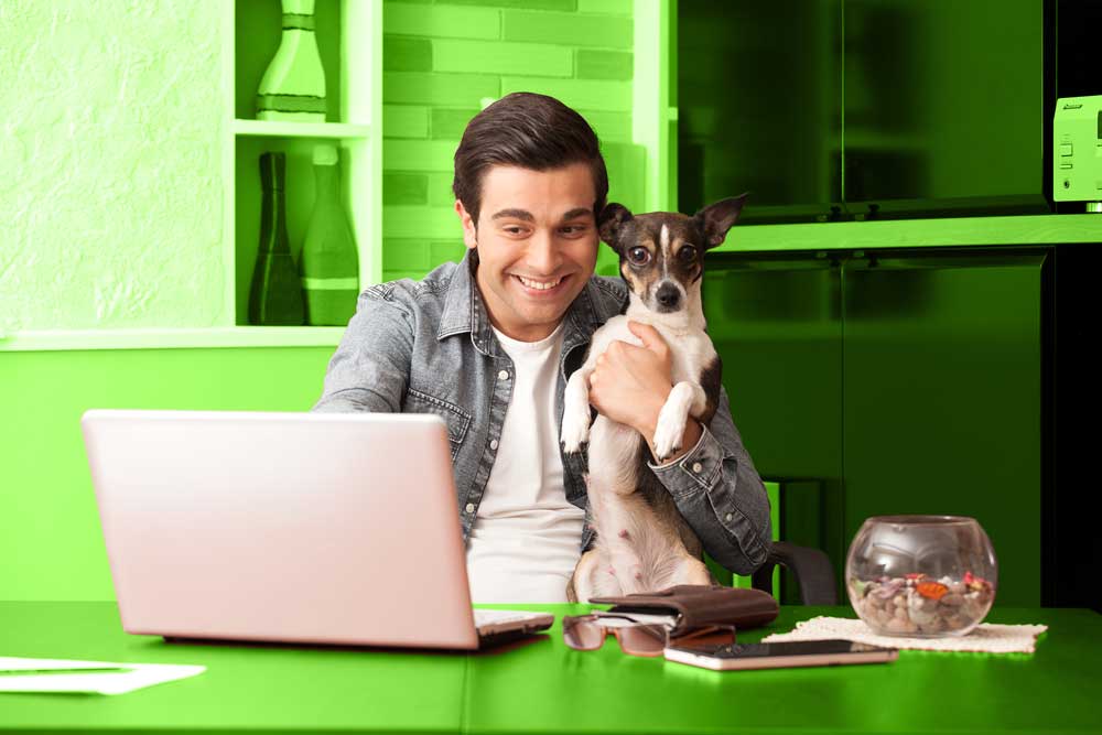 How to clean a dog friendly office brisbane office cleaning